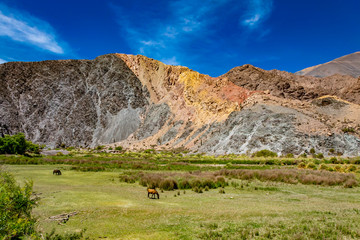 colorido paisaje de montaña