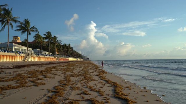Joven trota por la playa con mucha presencia de sargazo.