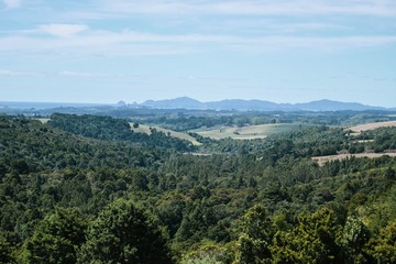 Aerial view of a bush forest at the countryside