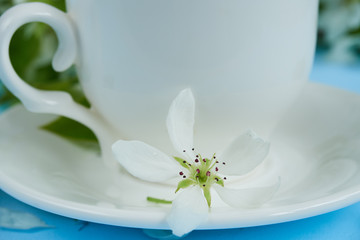 Obraz na płótnie Canvas cup of tea with apple petals on a blue background, close-up