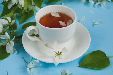 cup of tea with petals of an apple tree on a blue background