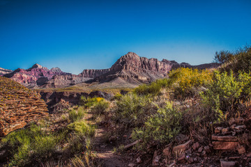 Landscapes and Views of Grand Canyon National Park 