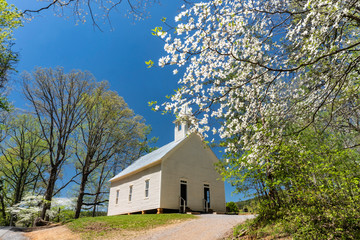 Little white church in the Smokies surrounded with Dogwood blooms. - 269308317
