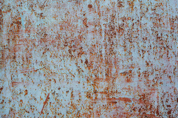 Fototapeta premium Old rusted metal texture. Painted iron surface. Perfect for background and grunge design.