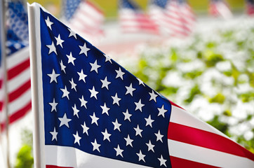 Row of American flags displayed on the street side along flowerbed, closeup