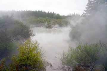 Obraz na płótnie Canvas Geothermal fumes over mud pools in the Waiotapu area of the Taupo Volcanic Zone in New Zealand