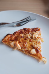 fresh and hot Pizza slice for lunch