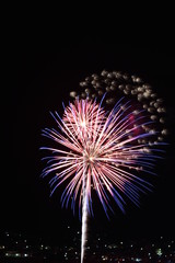 夜空の花火