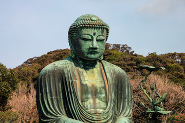 Famous fascinating bronze statue of Great buddha is located on the ground of Kotokuin Temple, Kamakura, Japan.