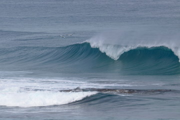 waves
