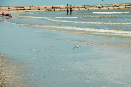 Sights and sounds of white sand summer beach