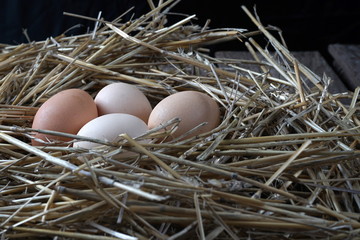 chicken eggs in a nest of straw