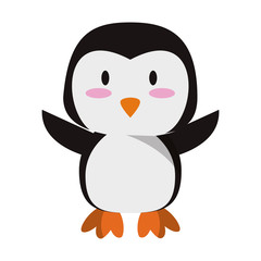 Cute penguin animal cartoon vector illustration