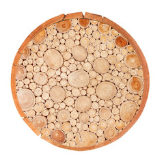 Cross section of tree trunk isolated on white background
