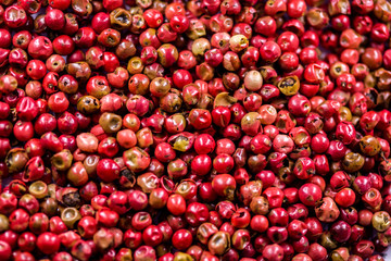 black pepper raw berries