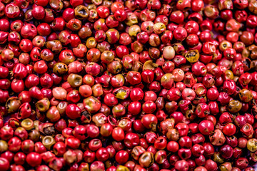black pepper raw berries