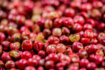 black pepper raw berries