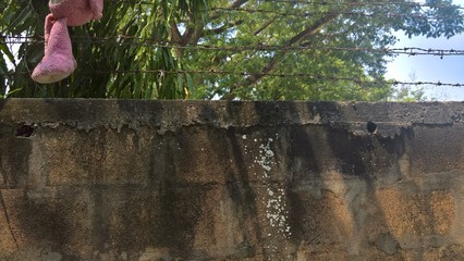 woman sitting on stairs