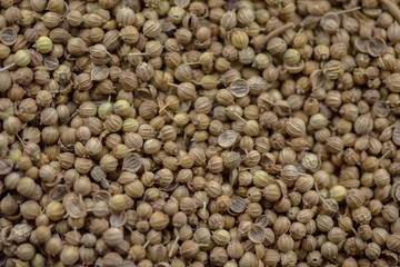 allspice macro texture