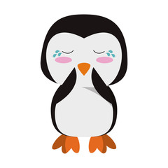 Cute penguin animal cartoon vector illustration