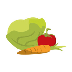 Fresh vegetables food cartoon isolated