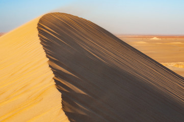 Fototapeta na wymiar Golden sand in Sahara desert in Egypt