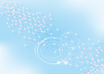 水面と桜の花筏