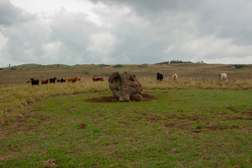 Obraz premium ハワイ島の聖なる場所ヘイアウ