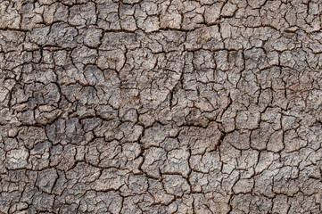 Desert, cracked soil, environment erosion problem seamless pattern