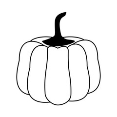 Pumpkin fresh vegetable cartoon food in black and white