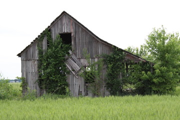 Obraz premium Old Wood Barn 2019 
