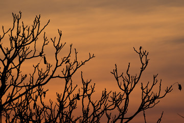 atardecer
