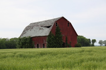 Obraz premium Old Mid-West Barn 2019