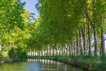 Summer look on Canal du Midi canal in Toulouse, southern Franc