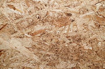 plywood trexture