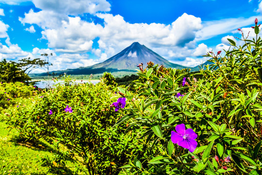 flowers and sky, landscape with Arenal Volcan in costa rica central america