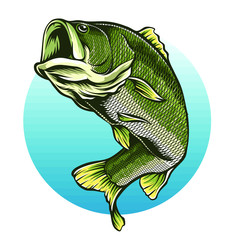 trout vector logo and illustration