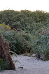 wilsons promontory