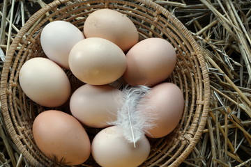 basket with chicken eggs on the background of straw