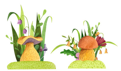 Set of mushrooms with grass, flowers, butterfly, leaves. Watercolor and colored pencil illustration.
