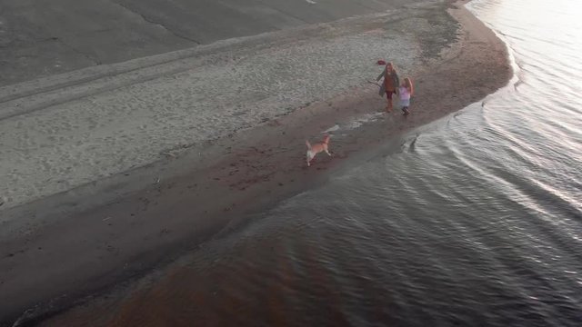 Mom and daughter, run, play with a brown dog labrador on the beach by the river. Aerial filming
