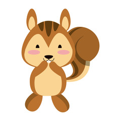 Cute squirrel animal cartoon vector illustration