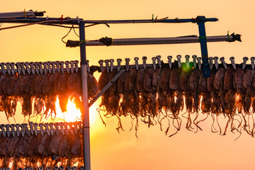 Dried squid hanging with clip in a line against sunset sky. Street food in Thailand. Delicious dried seafood. Dried cuttlefish ready to grilled and serve. Food preservation culture. Sun drying squid.