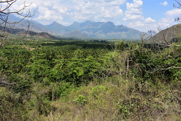 The Kurangani Hills near Bodinayakkanur in Theni district