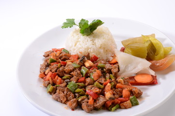 meat saute with rice white background