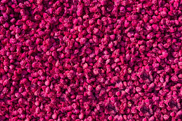 dry multicolor flower background. flat lay