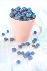 Fresh raw organic farm blueberry in pink cup on white background.