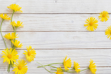 doronicum flowers on painted wooden background