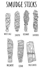 Sage smudge sticks hand-drawn set of sketch doodles. Herb bundles collection