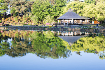 Chiba, Japan, 05/08/2019 , Reflection on the pond on Chiba park